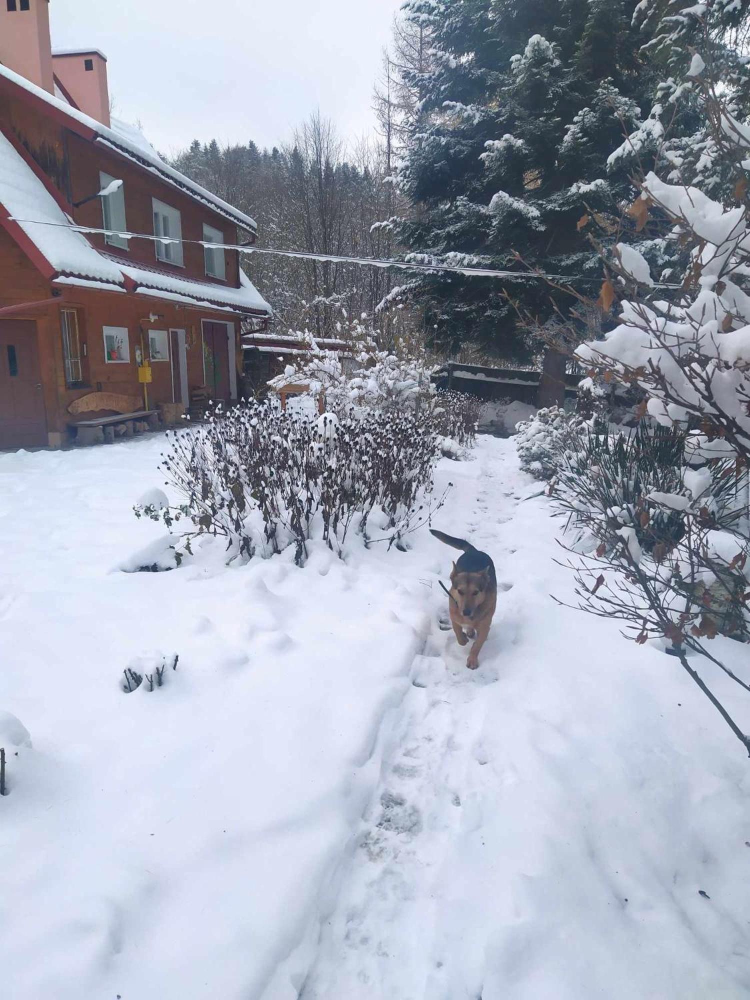 Agroturystyka U Psotki Kuzmina Exteriér fotografie