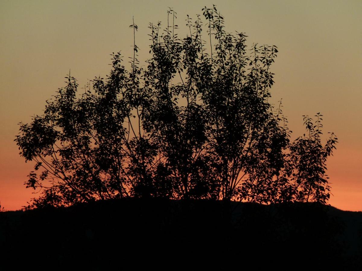 Agroturystyka U Psotki Kuzmina Exteriér fotografie